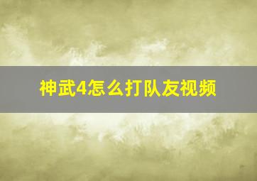 神武4怎么打队友视频