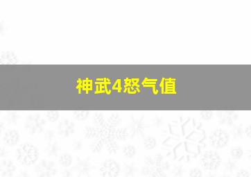 神武4怒气值