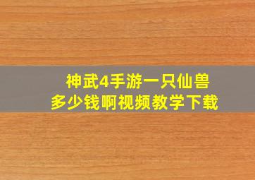 神武4手游一只仙兽多少钱啊视频教学下载