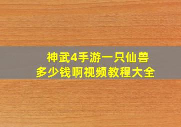 神武4手游一只仙兽多少钱啊视频教程大全