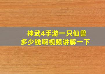 神武4手游一只仙兽多少钱啊视频讲解一下