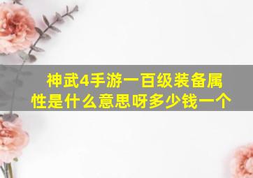 神武4手游一百级装备属性是什么意思呀多少钱一个