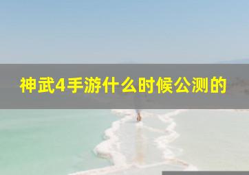 神武4手游什么时候公测的