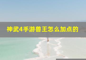 神武4手游兽王怎么加点的