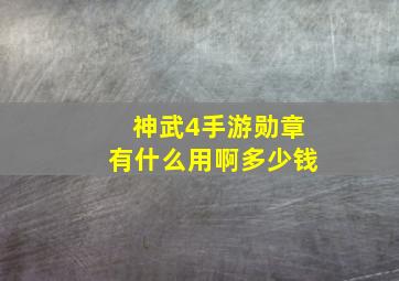 神武4手游勋章有什么用啊多少钱