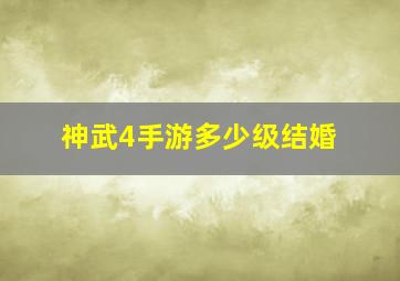 神武4手游多少级结婚