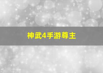 神武4手游尊主