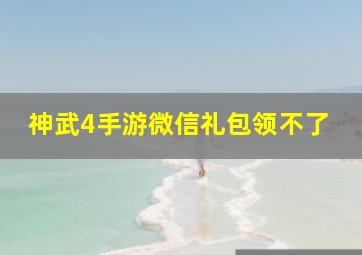 神武4手游微信礼包领不了