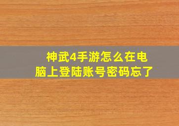 神武4手游怎么在电脑上登陆账号密码忘了