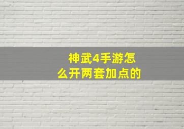 神武4手游怎么开两套加点的