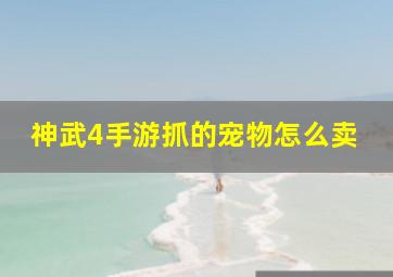 神武4手游抓的宠物怎么卖