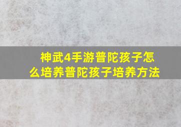 神武4手游普陀孩子怎么培养普陀孩子培养方法