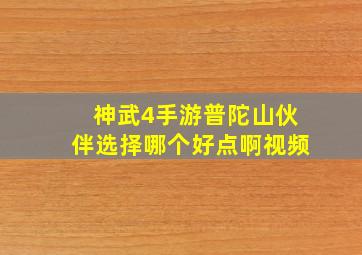 神武4手游普陀山伙伴选择哪个好点啊视频