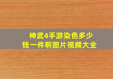 神武4手游染色多少钱一件啊图片视频大全