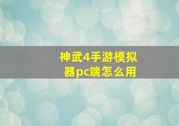 神武4手游模拟器pc端怎么用