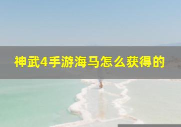 神武4手游海马怎么获得的