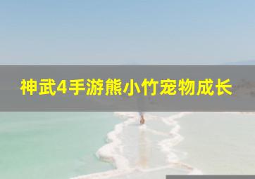 神武4手游熊小竹宠物成长