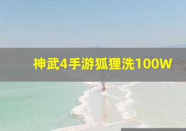 神武4手游狐狸洗100W