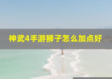 神武4手游狮子怎么加点好