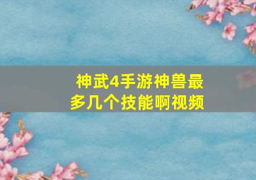 神武4手游神兽最多几个技能啊视频