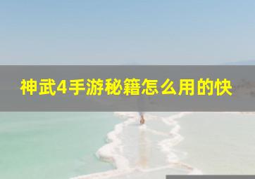 神武4手游秘籍怎么用的快