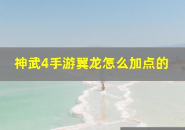 神武4手游翼龙怎么加点的