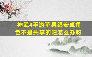 神武4手游苹果跟安卓角色不是共享的吧怎么办呀