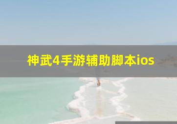 神武4手游辅助脚本ios