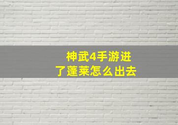 神武4手游进了蓬莱怎么出去