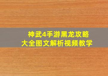 神武4手游黑龙攻略大全图文解析视频教学