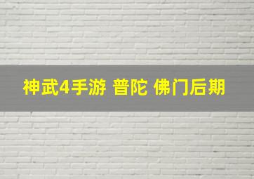 神武4手游 普陀 佛门后期