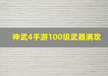 神武4手游100级武器满攻