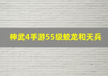 神武4手游55级蛟龙和天兵