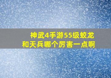 神武4手游55级蛟龙和天兵哪个厉害一点啊