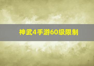 神武4手游60级限制