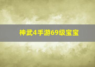 神武4手游69级宝宝