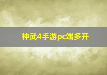 神武4手游pc端多开