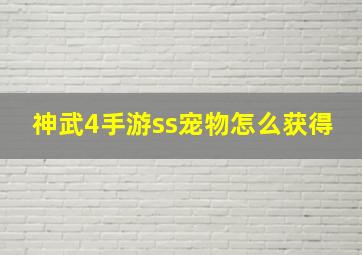 神武4手游ss宠物怎么获得