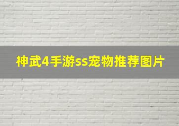 神武4手游ss宠物推荐图片