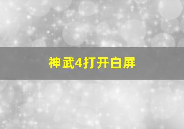 神武4打开白屏