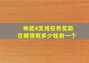 神武4支线任务奖励在哪领啊多少钱啊一个