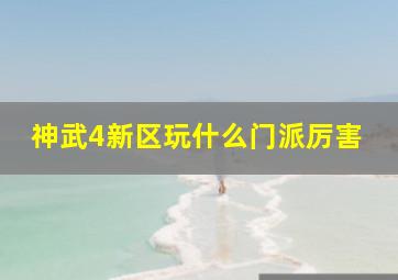 神武4新区玩什么门派厉害