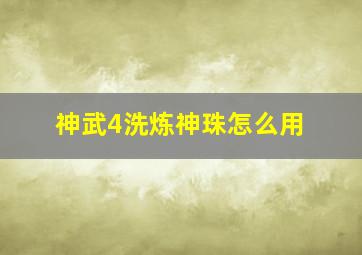 神武4洗炼神珠怎么用