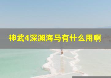 神武4深渊海马有什么用啊