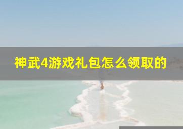 神武4游戏礼包怎么领取的