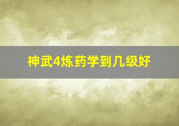 神武4炼药学到几级好