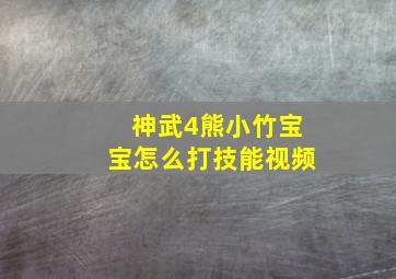 神武4熊小竹宝宝怎么打技能视频