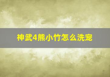 神武4熊小竹怎么洗宠