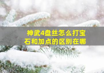 神武4盘丝怎么打宝石和加点的区别在哪