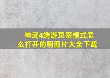 神武4端游页签模式怎么打开的啊图片大全下载